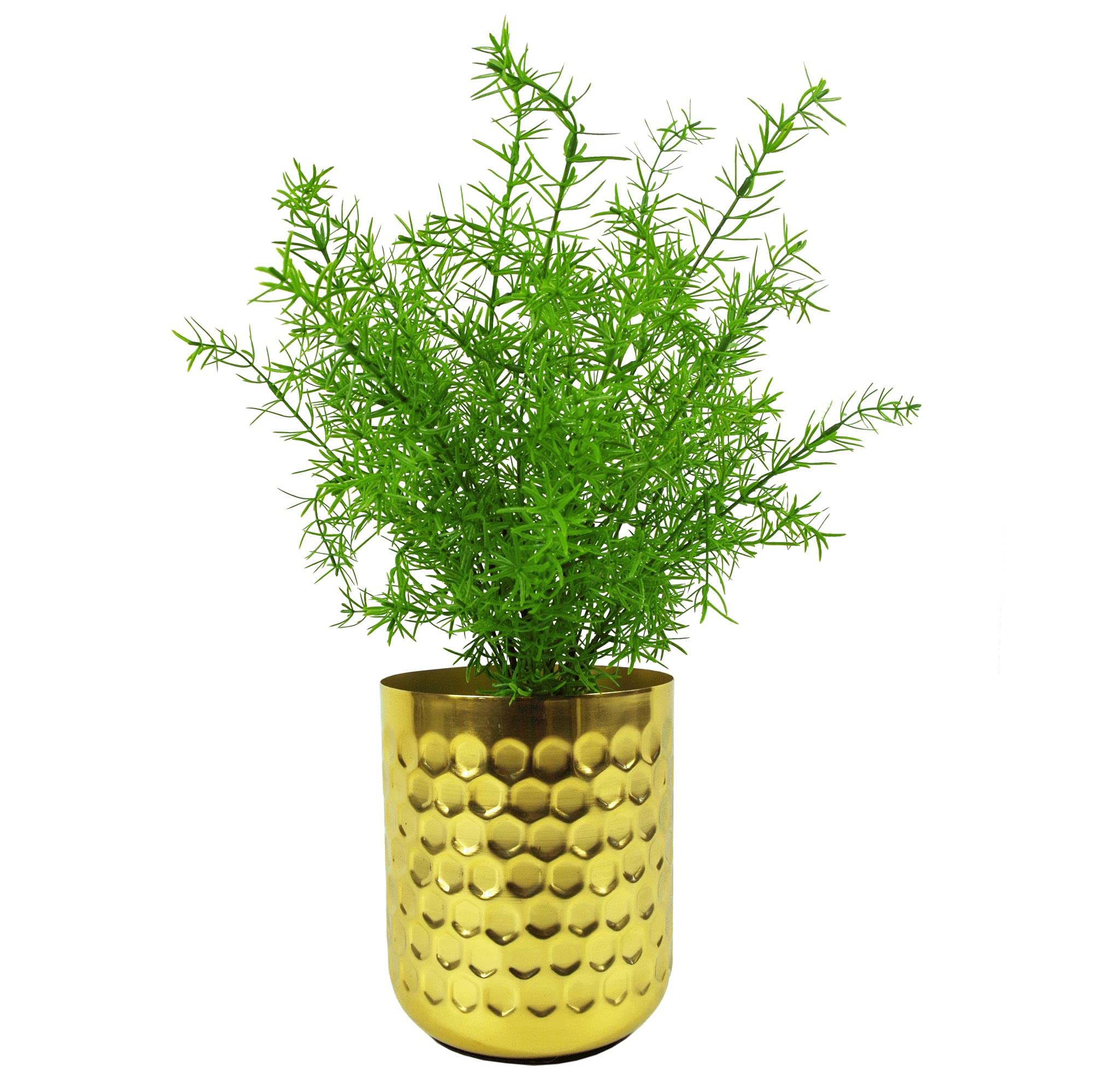 Leaf Design Artificial Plants, Asparagus Fern, 45cm LEAFFERNS0834 - Image 2