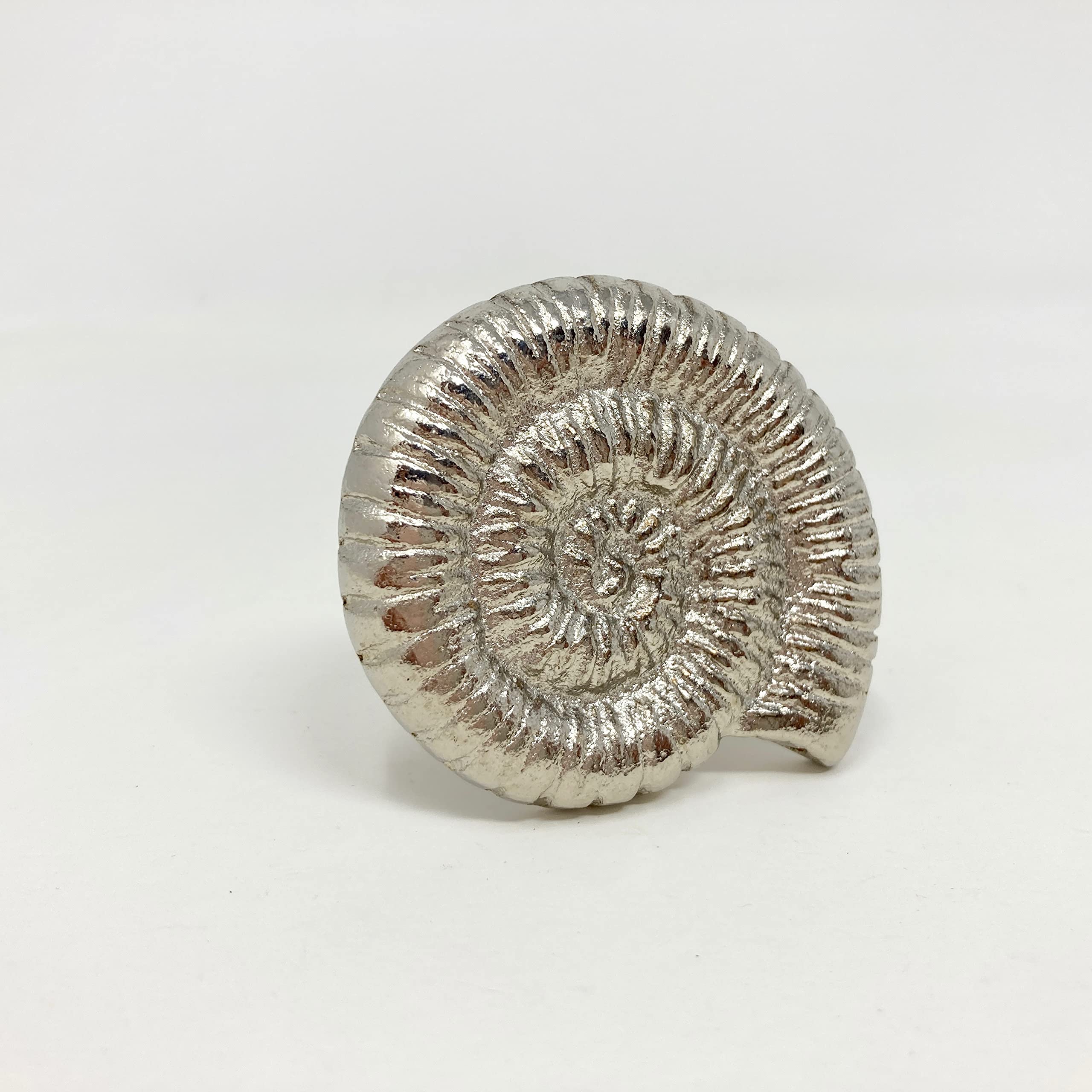 Silver Sea-Life Marine Nautical Drawer Knobs, Bathroom, Cupboards, Dresser, Cabinet (6. Large Shell)