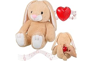 Hungdao 2 Pack 16 Inch Recordable Stuffed Animals