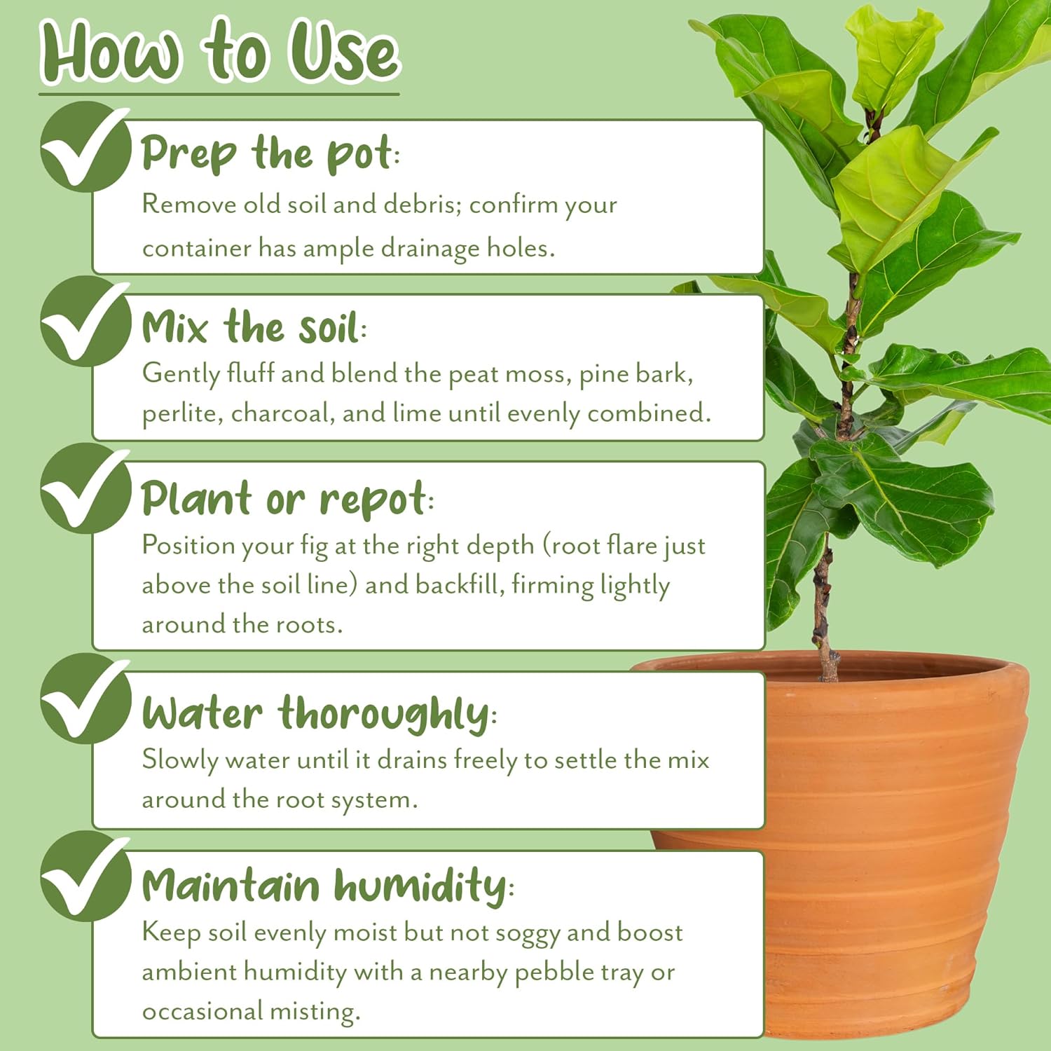 Soil Sunrise Premium Fiddle Leaf Fig Tree Soil (12 Quarts) - Expert Formula for Vibrant Growth - Nutrient-Rich Potting Mix,Specifically Designed for Healthy Indoor,Outdoor,& Potted Fiddle Fig Plants