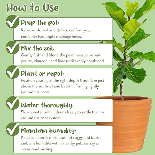 Miniatura 7 de Suelo de higuera de hoja de violín prémium (12 cuartos de galón), fórmula experta para un crecimiento vibrante, mezcla para macetas rica