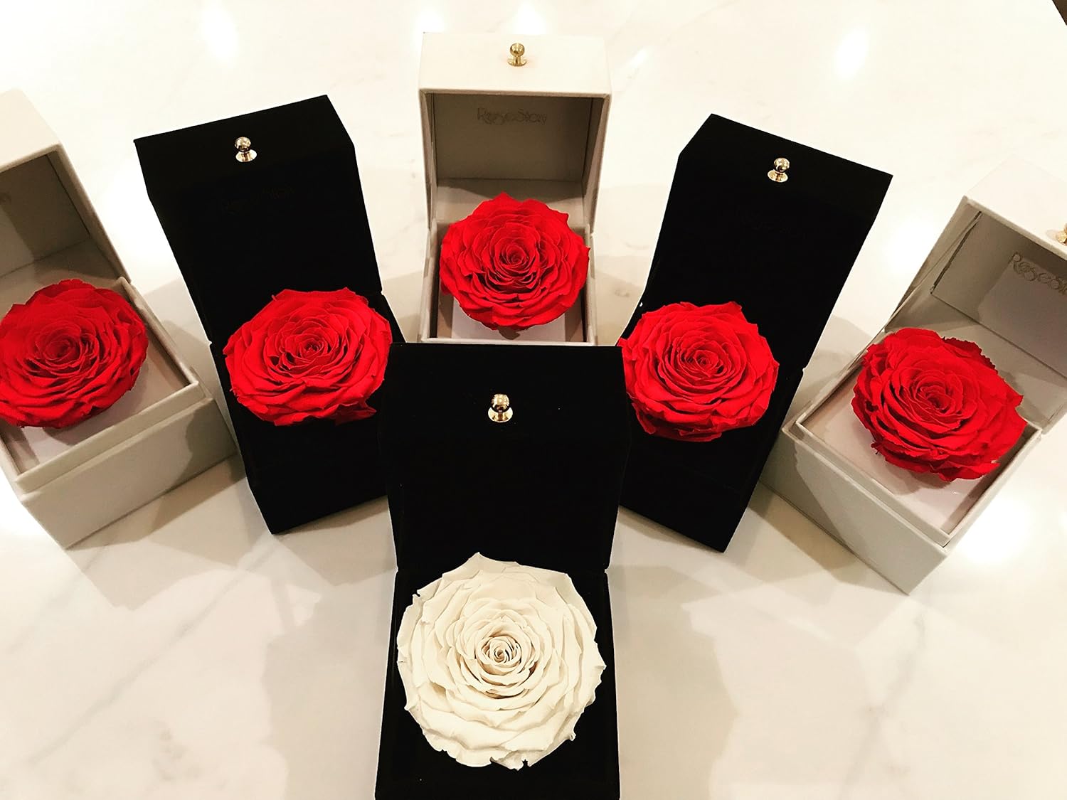 RoseStory|Preserved Red Rose Gift Box-Valentine's Day Gift|Birthday Gift|Unique Gift Idea for Her
