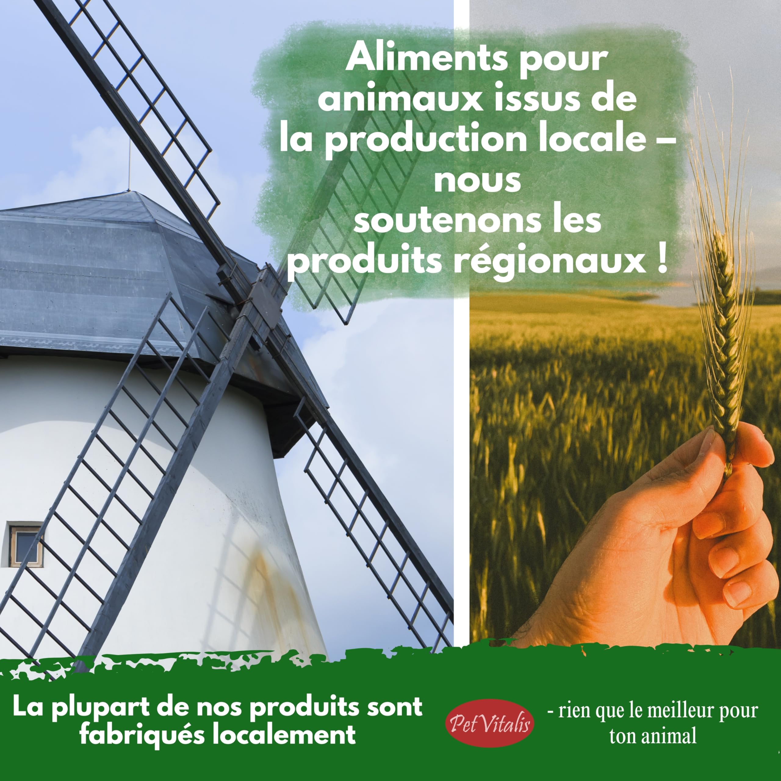 vers de Farine séchés – Aliment Complet Haut de Gamme pour Oiseaux Sauvages, complément à la Nourriture pour Oiseaux – en-Cas Riche en protéines pour Poissons, Reptiles et rongeurs (5 kg)