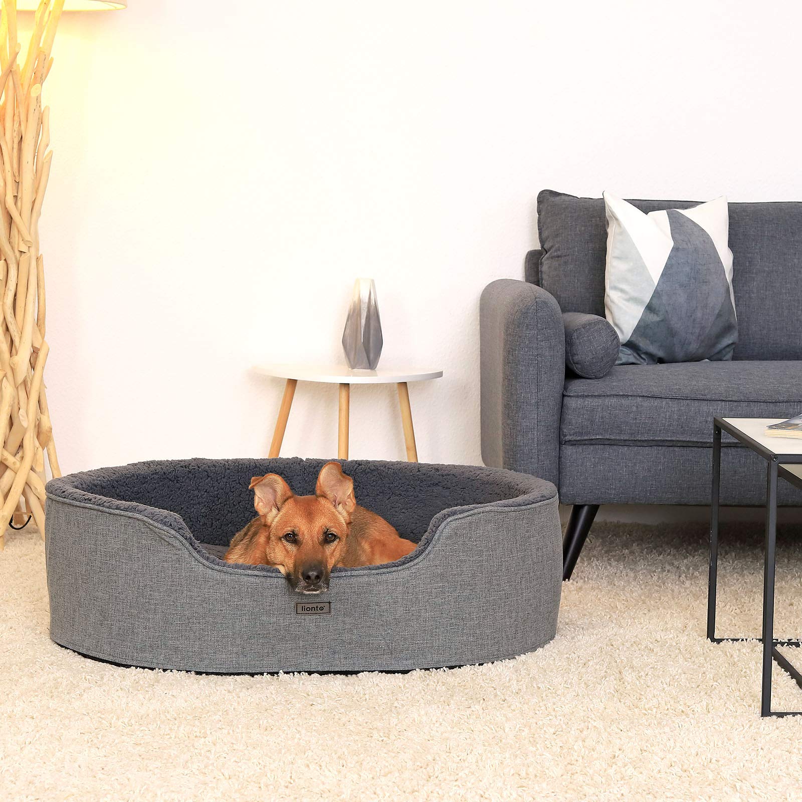 lionto Cuccia Cane con Cuscino Reversibile, Letto Cane, 92 x 72 cm, Grigio