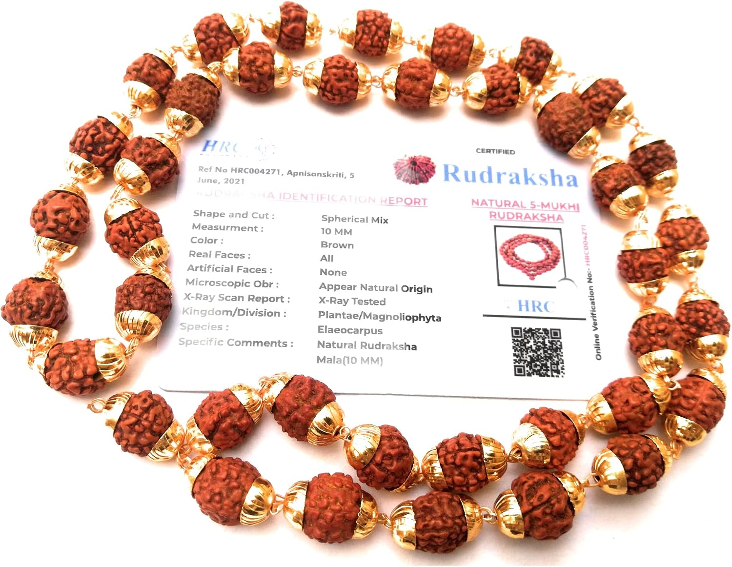 Apnisanskriti Rudraksha Mala with Golden Caps (10 mm, 39 Beads, Chest Length) - Natural Rudraksh Beads - Pack of 1