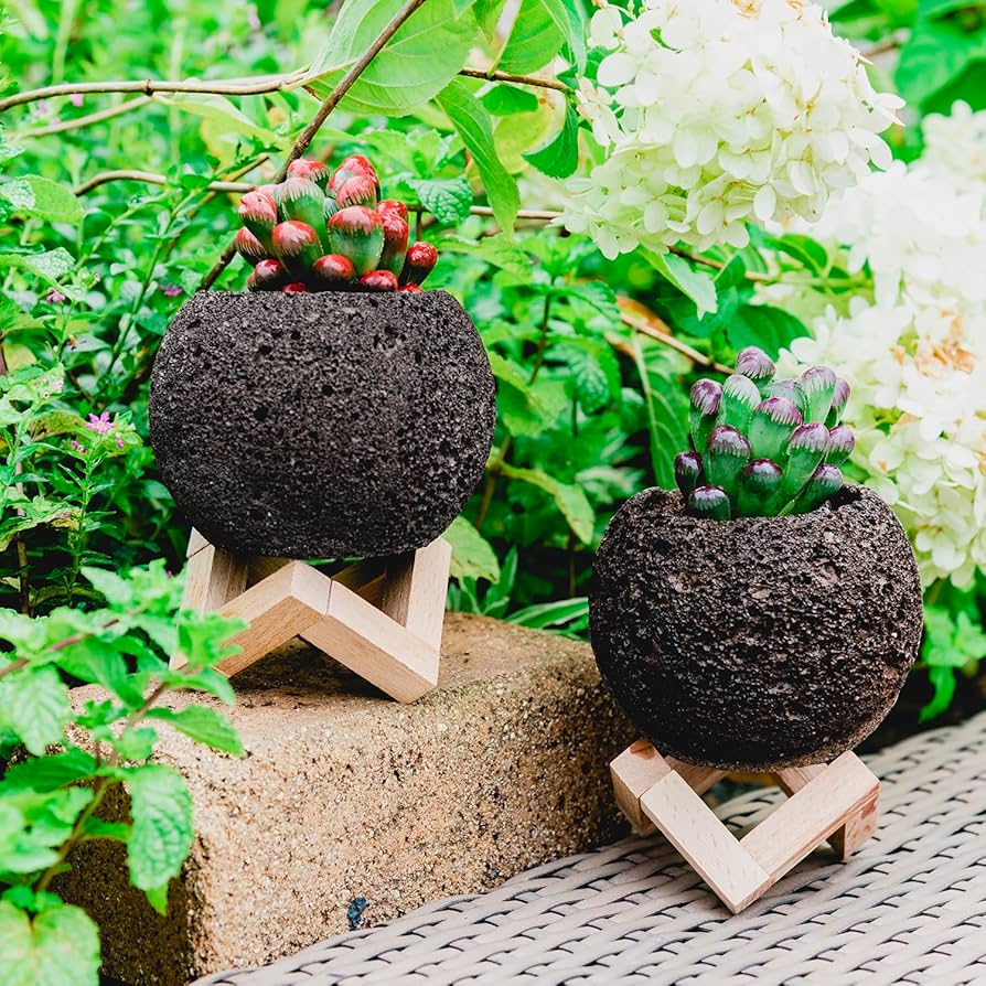 Amazon.co.jp: 天然溶岩石多肉植物ポット4個、水はけの良いミニ