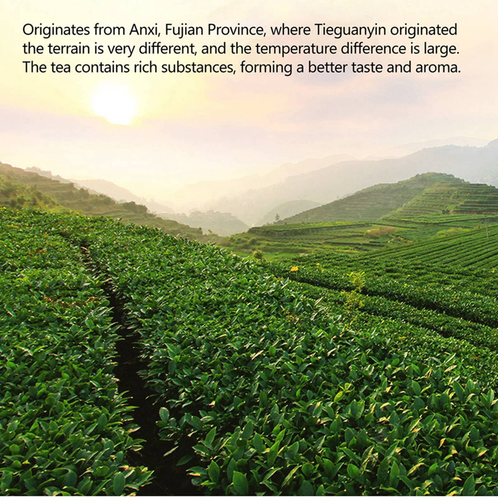 9 uncji herbaty Tieguanyin Oolong z pudełkiem prezentowym, 40 torebek na herbatę, chińska herbata Fujian Anxi Tieguanyin Gongfu, lekki smak, zielona świeża z aromatami, dla młodych mężczyzn