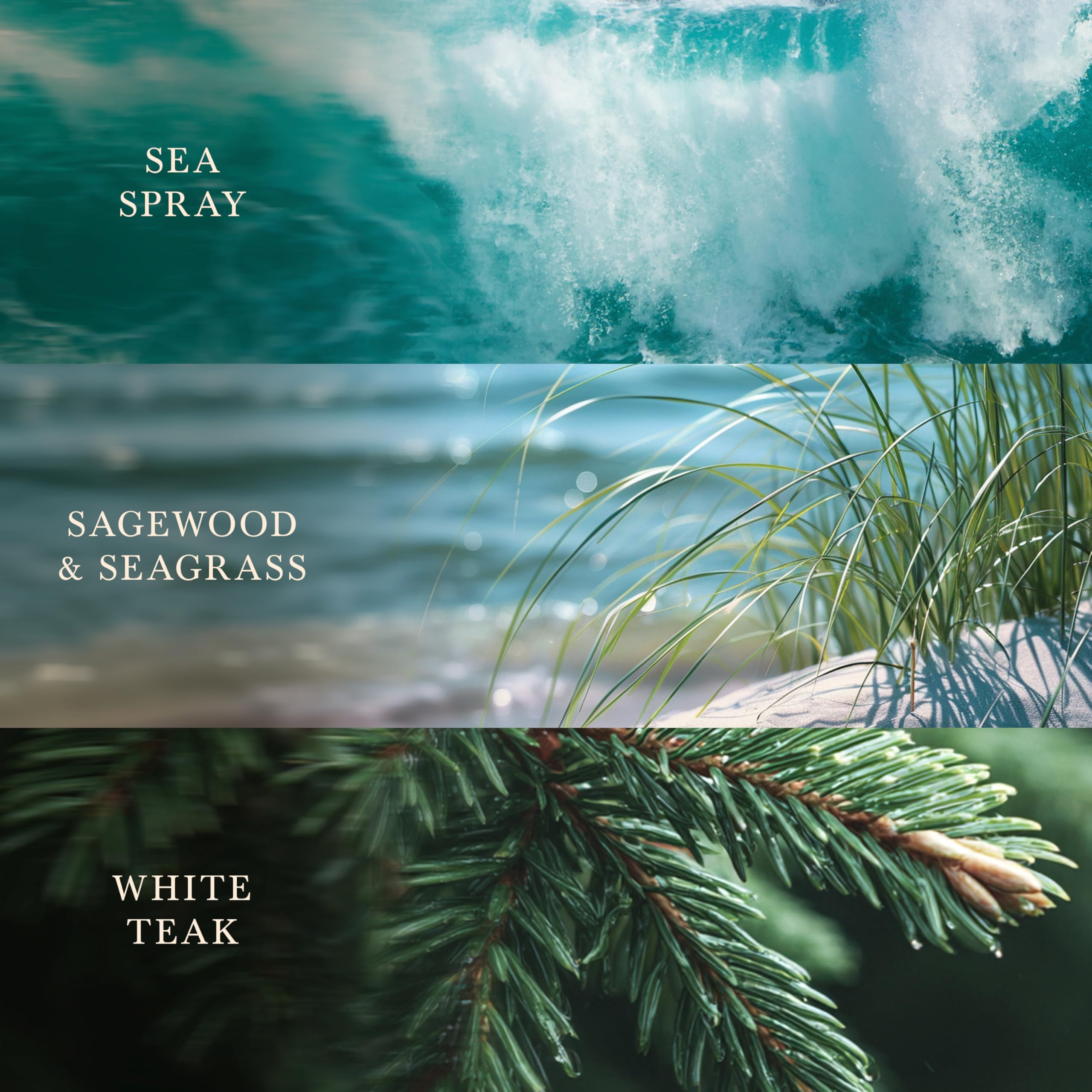 WoodWick Bougie parfumée | Bougie Ellipse | Rivage boisé | Cadeaux parfaits pour femmes