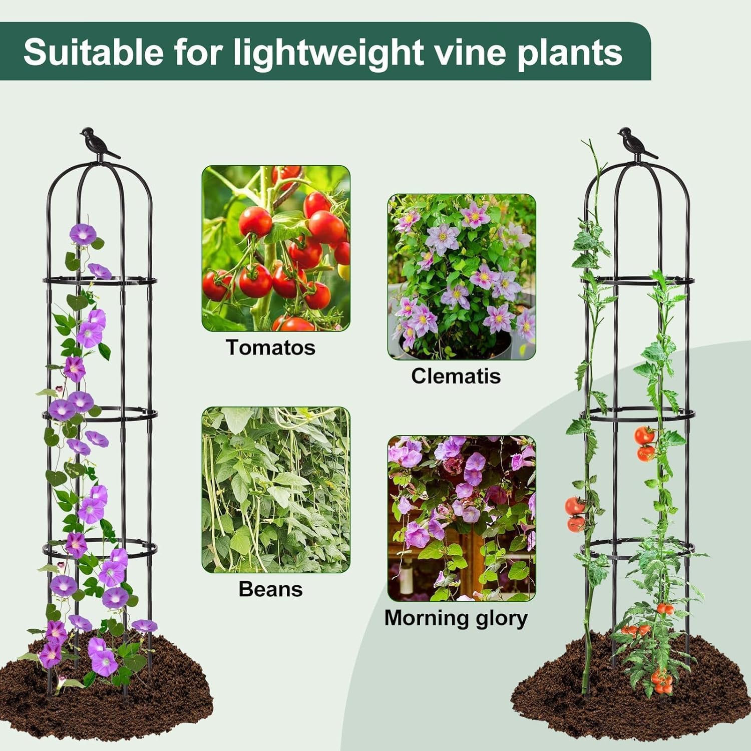 FOLLOOK Garden Trellis for Climbing Plant Outdoor, 67" Tall Round Cucumber Trellis Plant Supports for Vines Flower Climbing Rose Clematis Vegetable Tomato Trellis, 1PC, Black