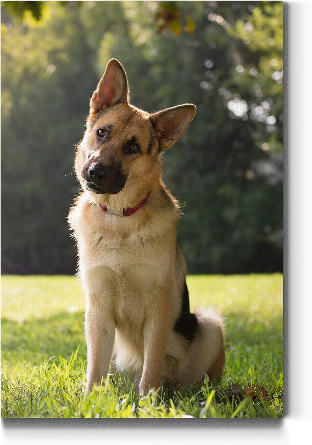 Renditions Gallery Animal Lovers Custom Canvas Wall Art, Personalized Pet Portraits, Fur Baby Photos, Dog Mom & Cat Mom Gifts, Family Pet Pictures – Custom Photo Canvas (12×18) Portrait