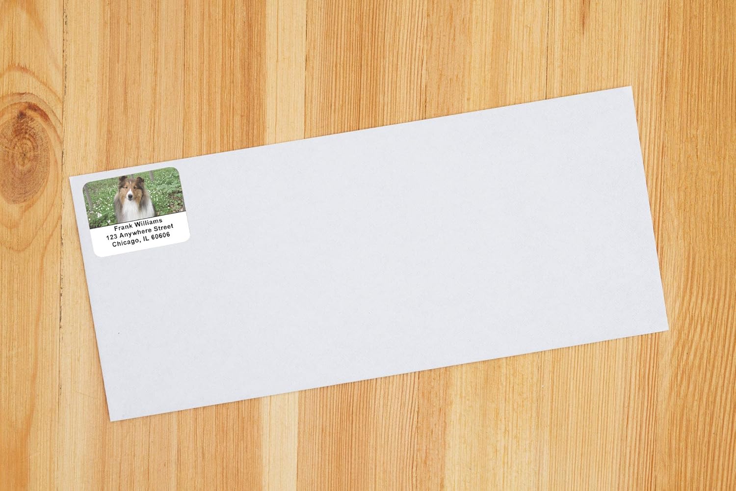 Lovely Shelties Address Labels