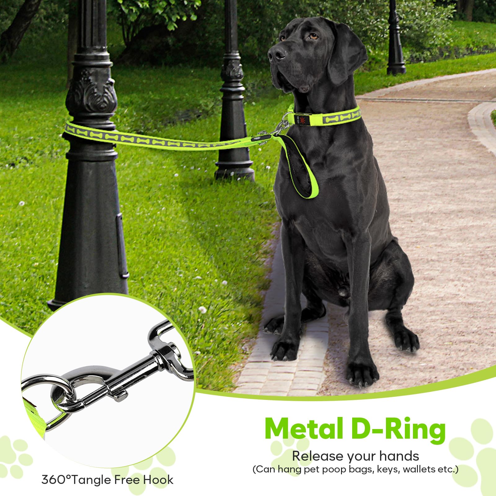 Flashseen Guinzaglio per cani luminoso, 1,2 m, LED con luce di tipo C, ricaricabile, in nylon, luci di sicurezza per cani per passeggiate notturne (verde)
