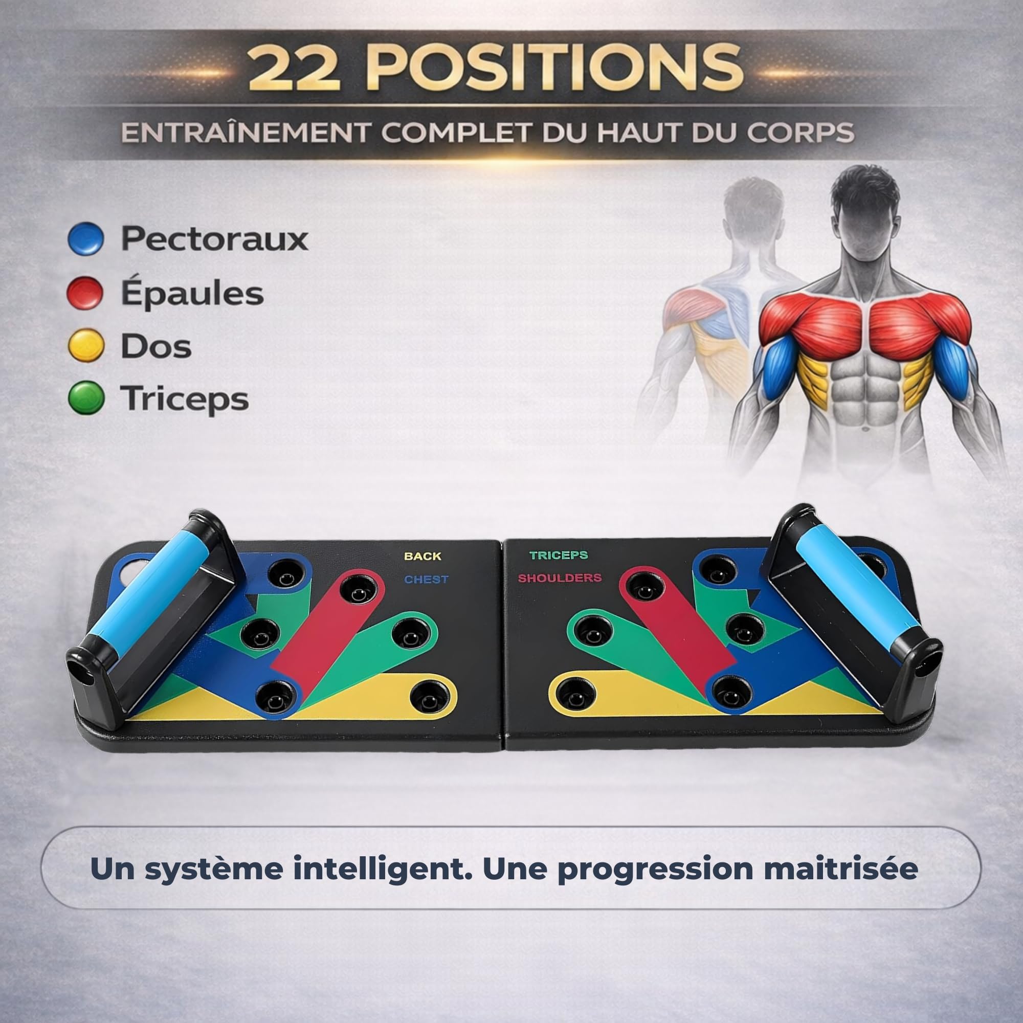 TESKA+ Planche À Pompes 22 En 1 Push Up Board Programme Musculation 10 Semaines En Français Renforcement Musculaire Maison Poignées Antidérapantes Sport Tous Niveaux