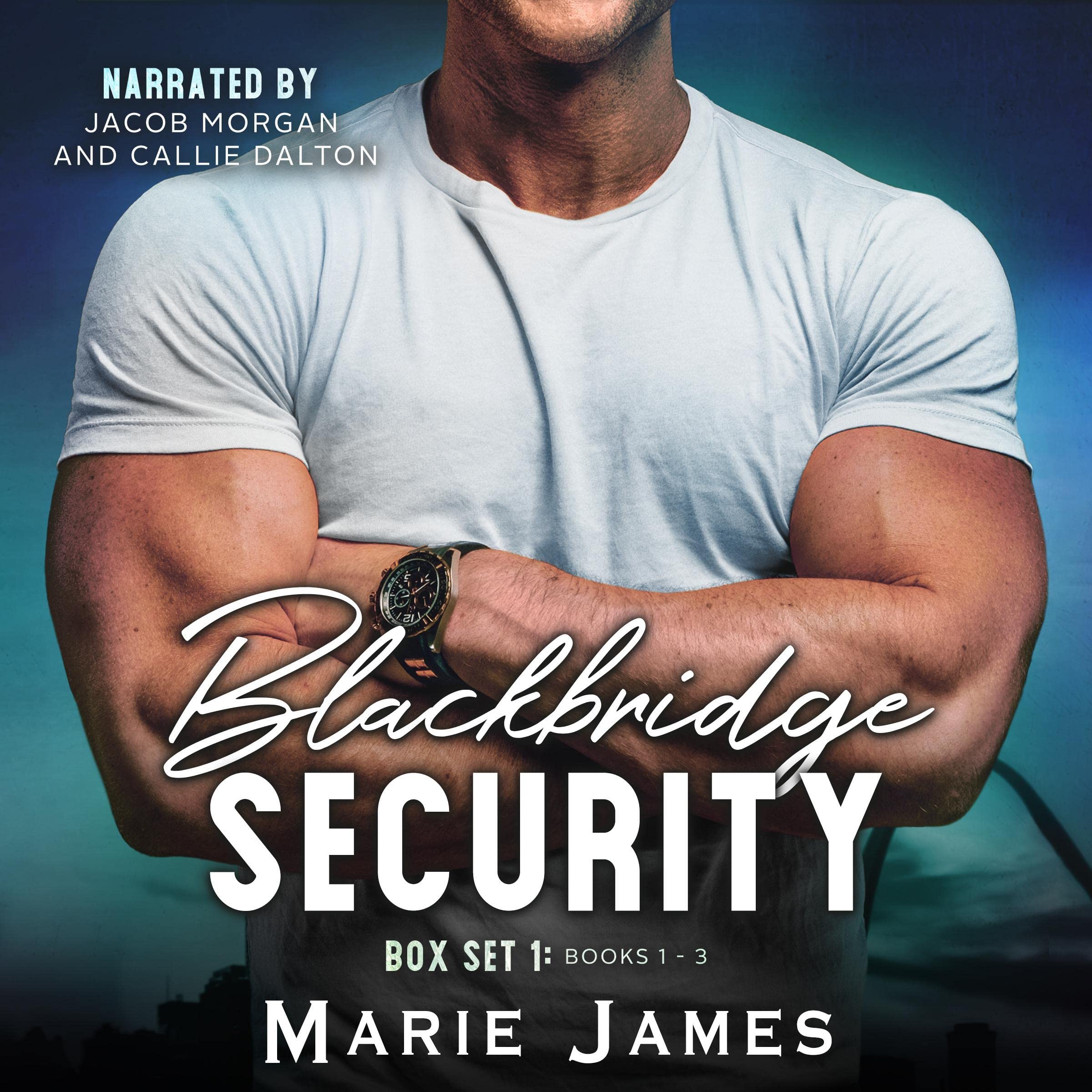 Blackbridge Security Box Set 1