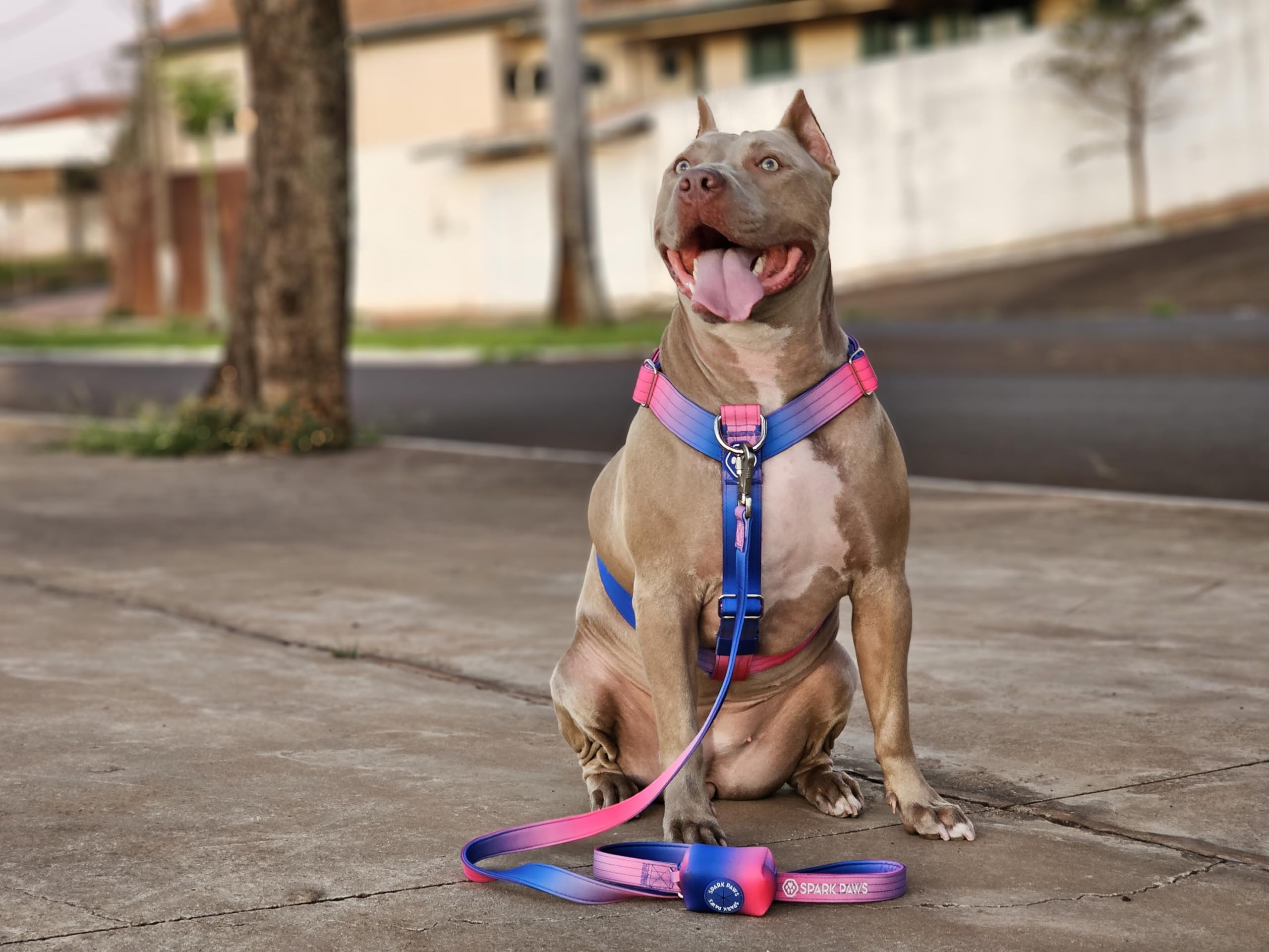 Spark Paws Ensemble laisse et sac à déjections canines de qualité supérieure – Crochet en alliage robuste pour les races puissantes – Confortable, durable et sécurisé – Cône de neige