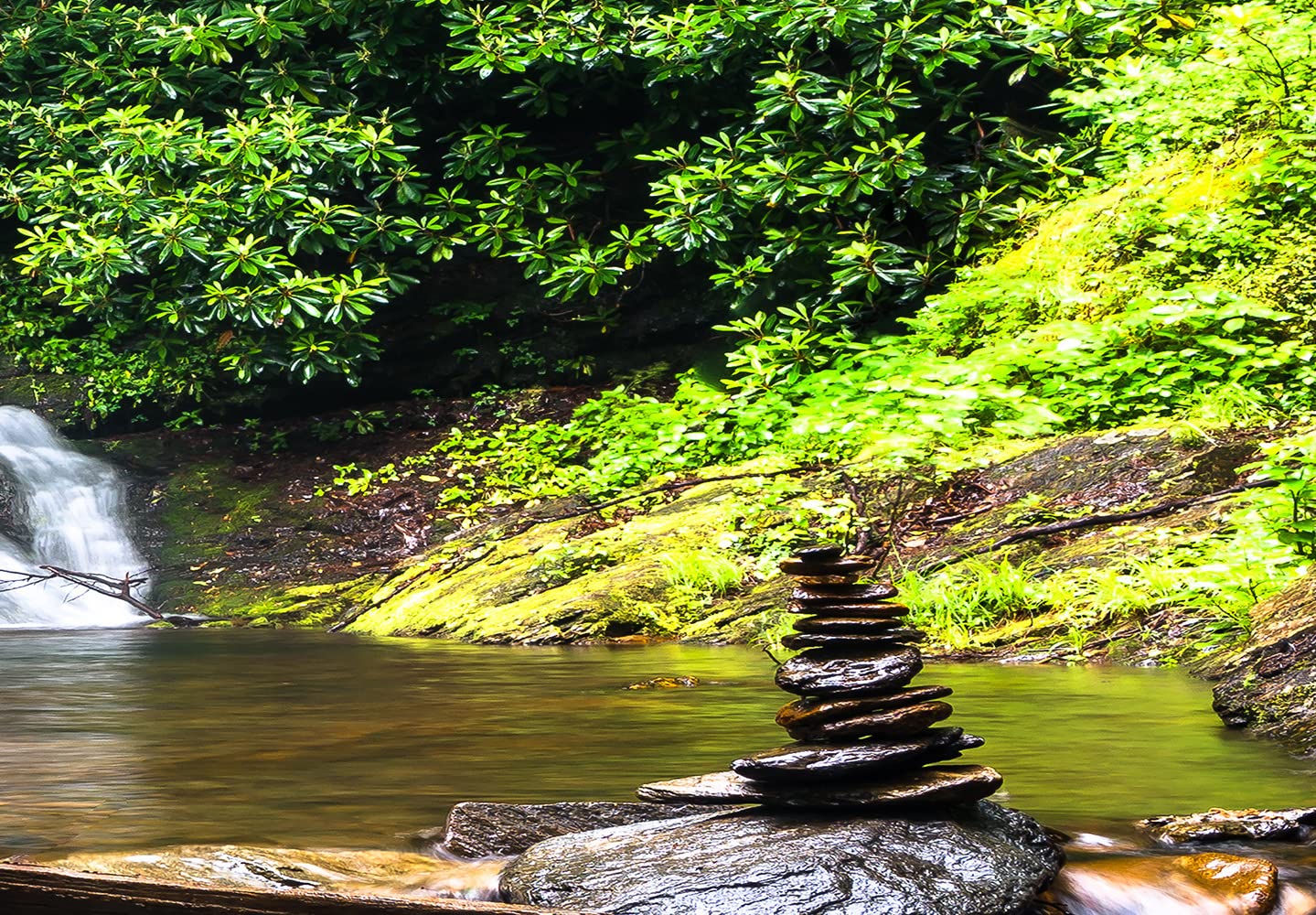 View 8