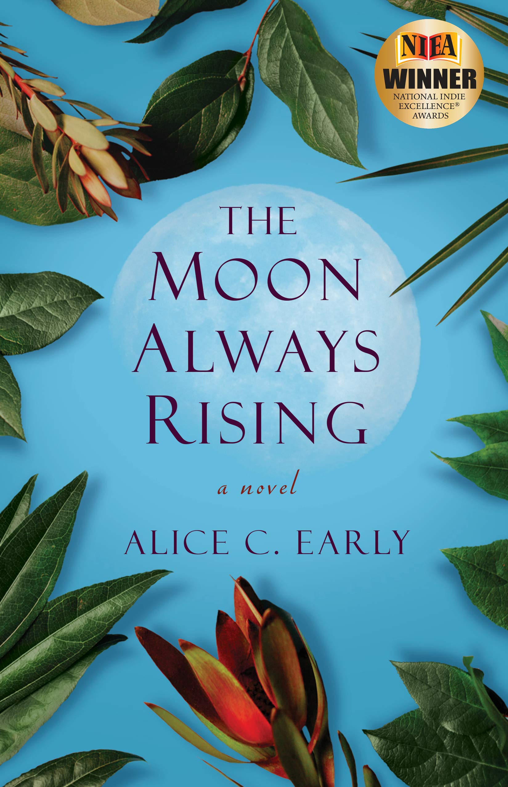 Buy The Moon Always Rising — BookShops.in