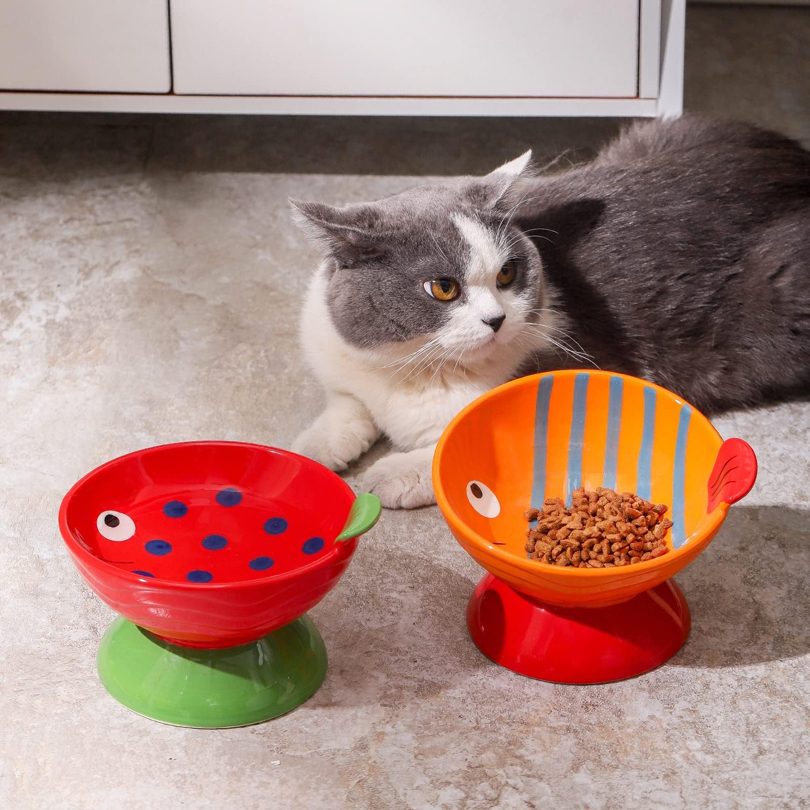 Raised Cat Bowl Set : Elevated Ceramic Cat Food & Water Bowl Set - Cute Hand-Painted Cat Dishes for Indoor Cats or Small Size Dogs - 6.5 Inch Tilted Cat Feeding & Watering Bowls (2 PCS)