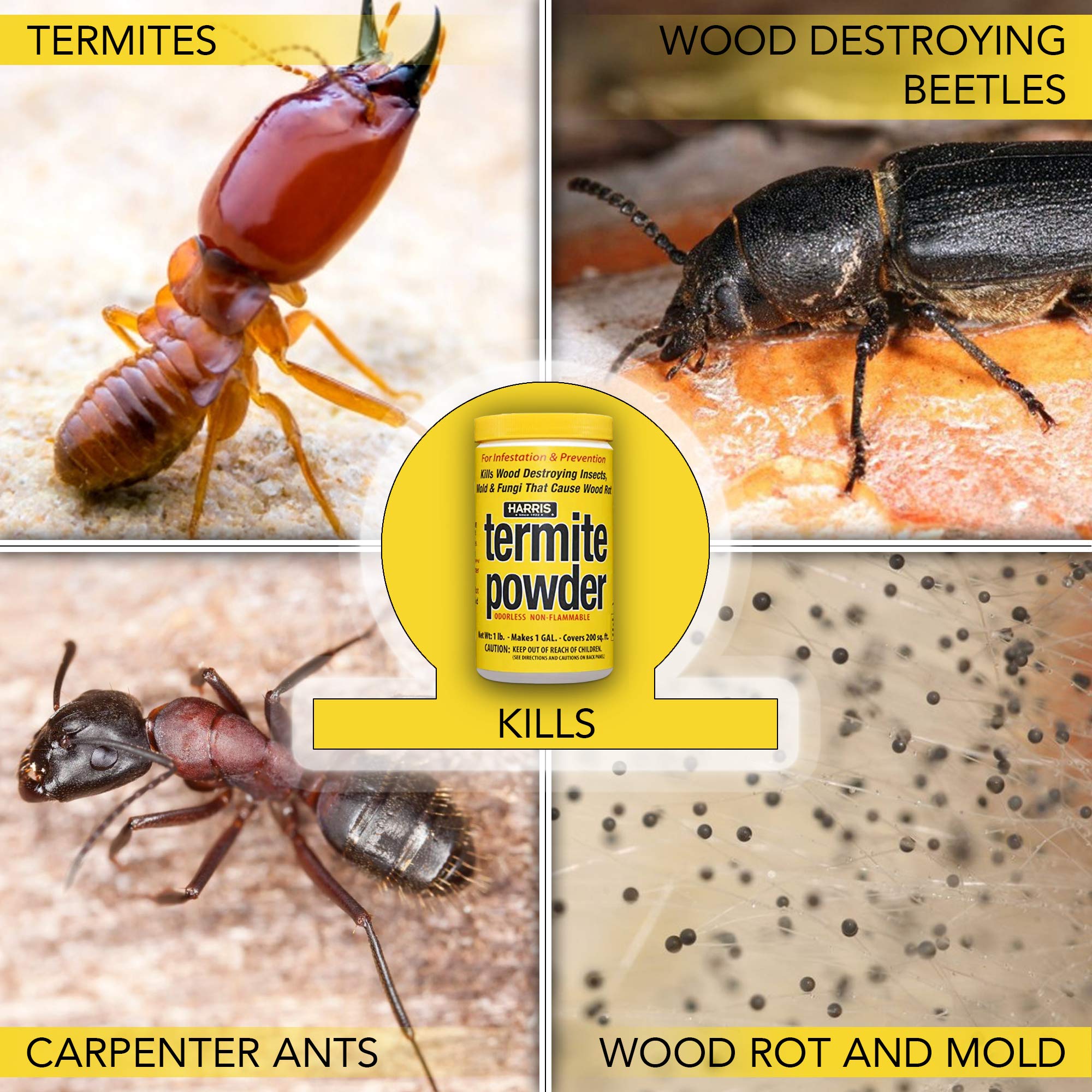 HARRIS Termite Treatment and Mold Killer, 16oz Powder, Makes 1 Gallon