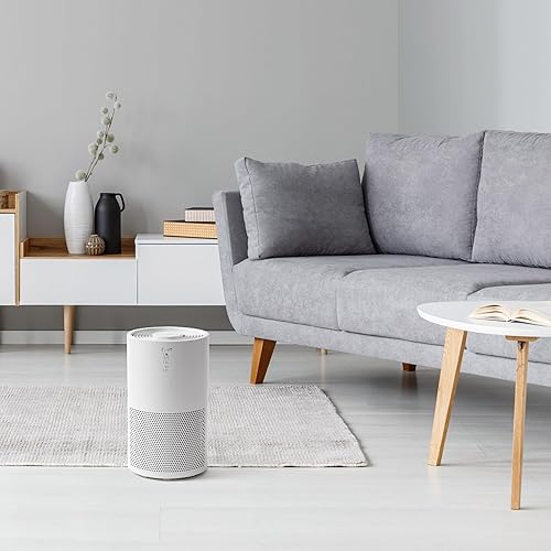 Miniatura 11 de IRIS USA WOOZOO - Purificador de aire True HEPA, filtro H13 3 en 1, elimina el 99.97% de los alérgenos, pelo de mascotas, humo y olores, cubre hasta