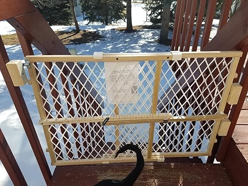 Toddleroo by North States — side view showing full product dimensions