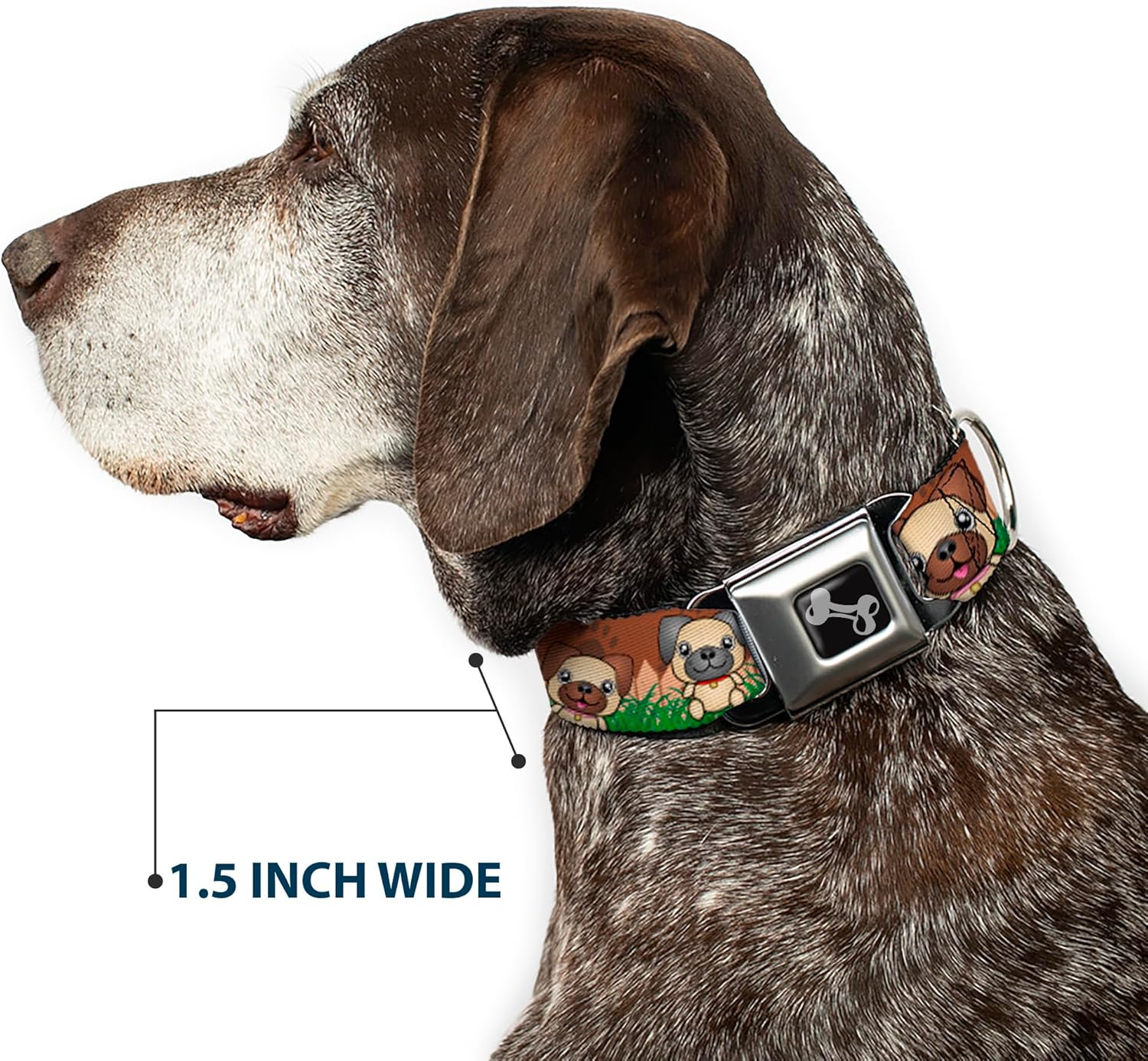 Dog Collar Seatbelt Buckle Pug Puppies Paw Prints Browns Greens 13 to 18 Inches 1.5 Inch Wide