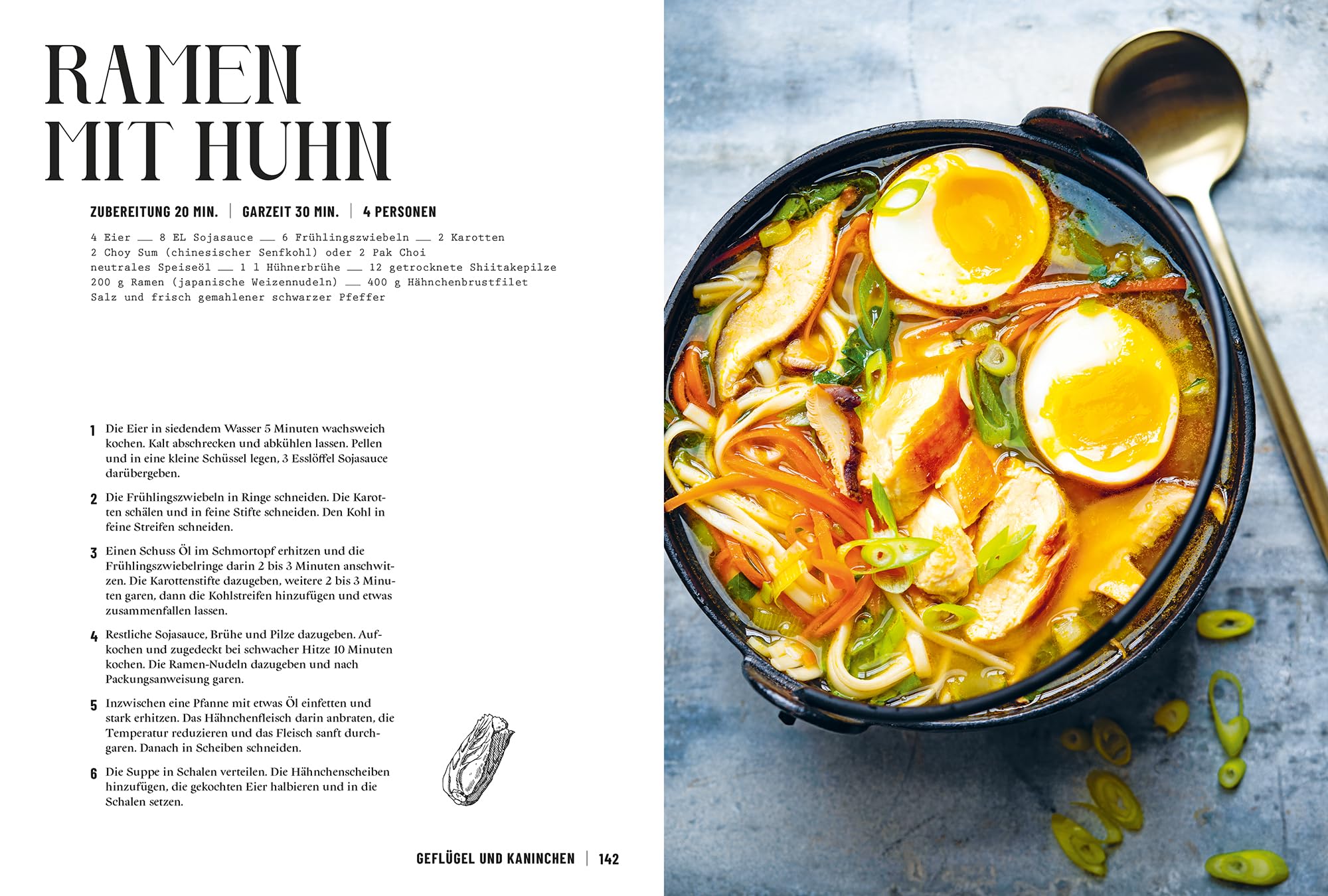 Cocotte: 100 aromatische Rezepte für Genießer aus dem Schmortopf, Bräter & Co. Deftige Schmorgerichte, herzhafte Wohlfühlküche & einfache Ofenrezepte mit wenig Aufwand