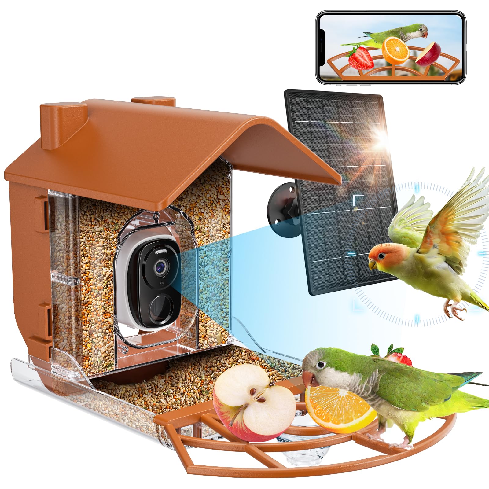 Bird Feeder with Camera, Smart Bird Feeder Camera with AI Identify Bird Species, Auto Capture Record Video & Instant App Notifications, Live Bird Watching Camera for Birds Lover, Solar Powered