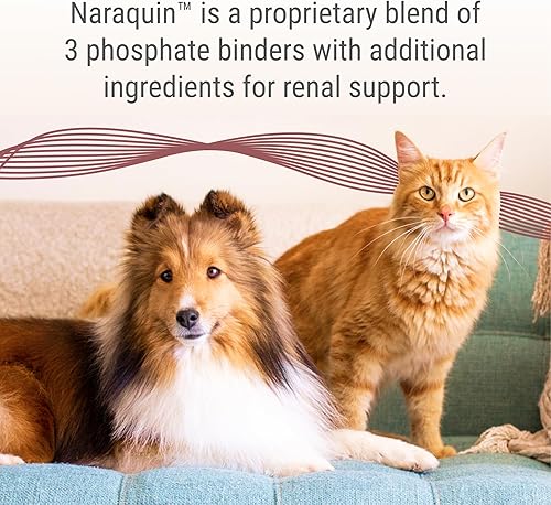 Miniatura 2 de Nutramax Laboratories NARAQUIN Carpeta de fosfato dietético + suplemento de apoyo renal para gatos y perros, 60 unidades