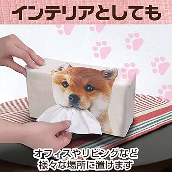 アンティーク　犬ティッシュカバー　レトロ　希少　いぬ　羊毛フェルト風　インテリア Amazon｜アンティーク 犬ティッシュカバー レトロ いぬ 羊毛