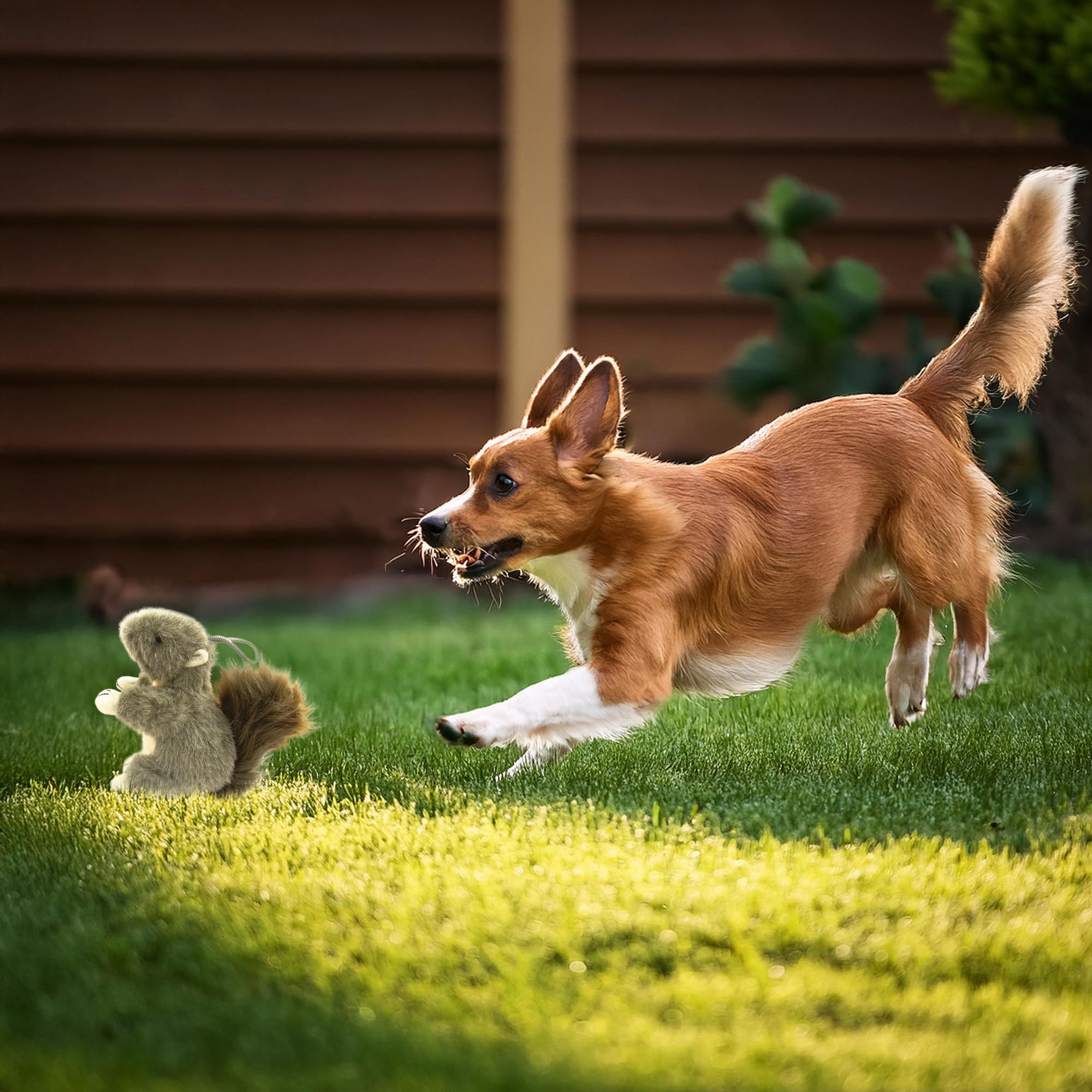Eichhörnchen-Hundespielzeug, quietschendes Eichhörnchen, Plüsch-Eichhörnchen, Hundespielzeug, gefülltes quietschendes Kauspielzeug, realistisches Tier-Hundespielzeug, interaktives