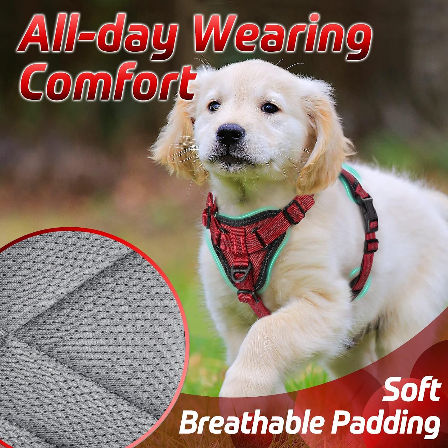 rabbitgoo Dog Harness for Small Dogs No Pull, Small Dog Vest with Bungee Shoulder Straps, Reflective Dog Walking Harness with Handle & 2 Metal Clips, Belly Adjustable, Soft Padded (Red, S)