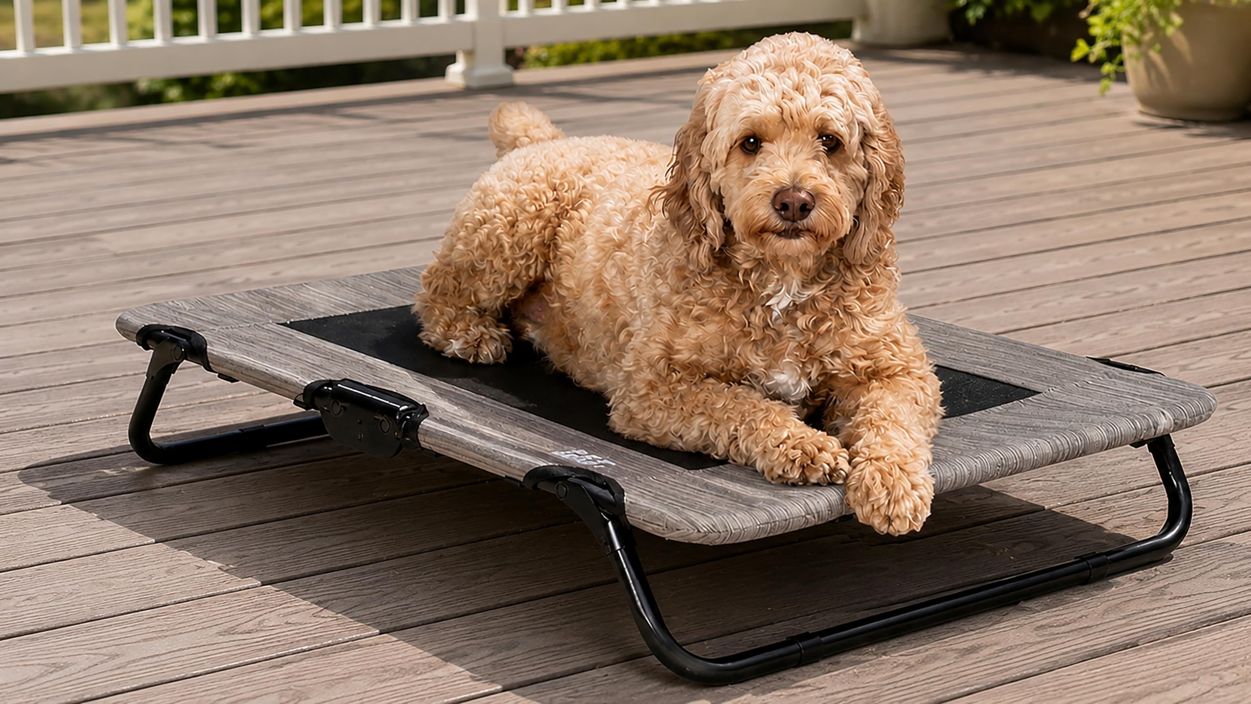 Pet Gear Lifestyle Pet Cot Elevated Bed, 30 Inch, Birch