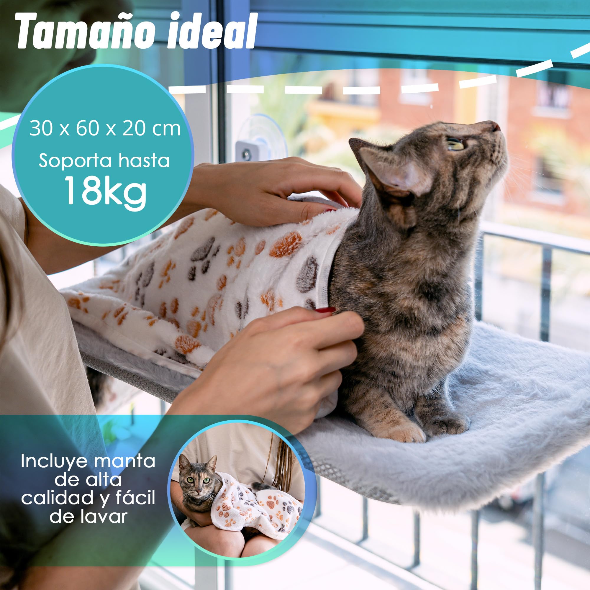 Hamaca Ventana Gato con Manta de Regalo, 30x60 cm, Ventosas Fuertes, 18 kg