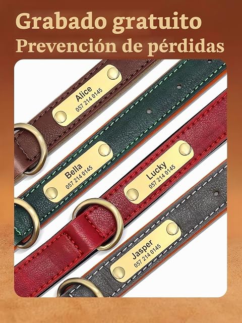 Foto 7 de 8 de SEOUGEE Collar de cuero genuino para perro, personalizado, suave y acolchado