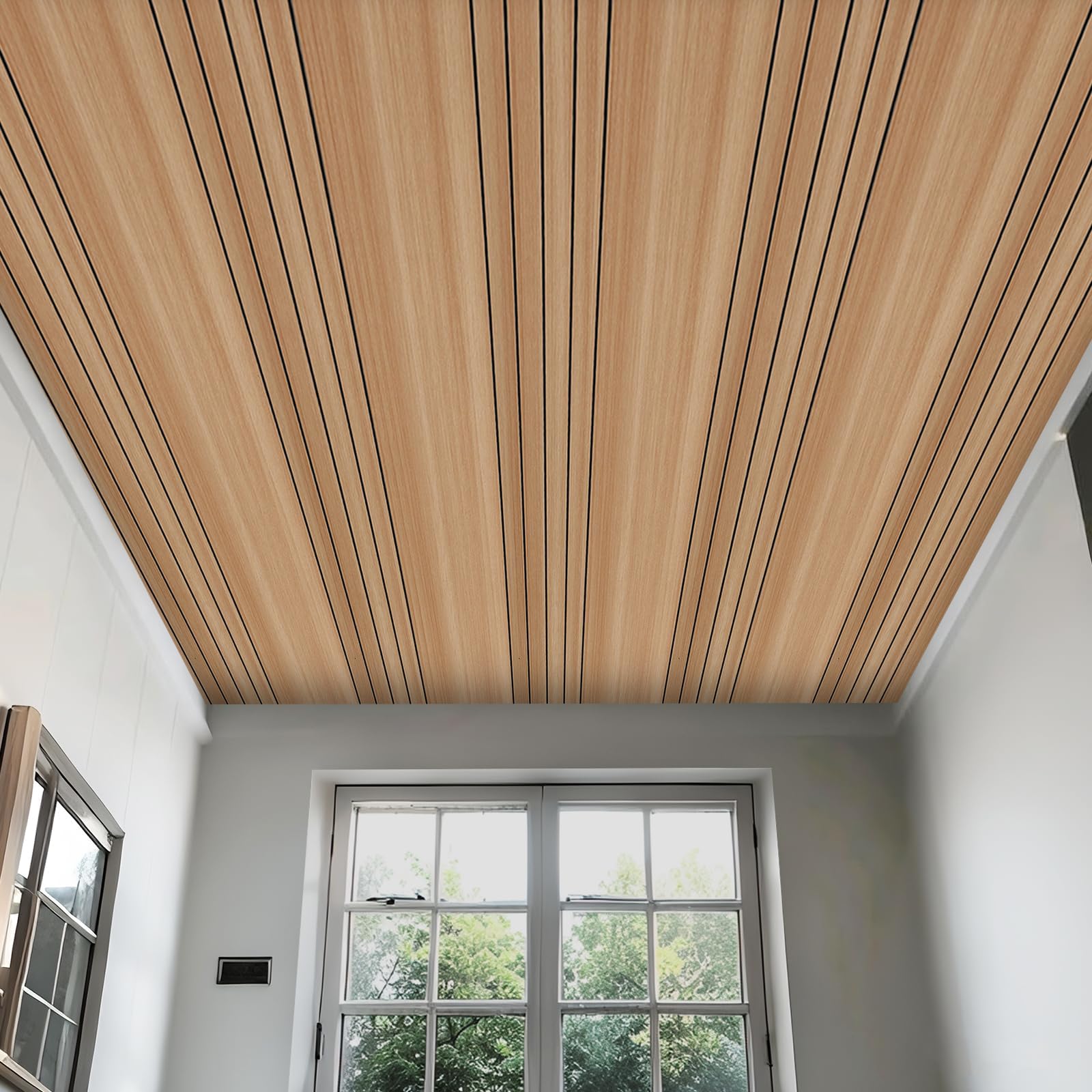 View 5