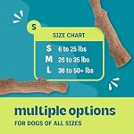 Petstages Dogwood Wood Alternative Dog Chew Toy, Small