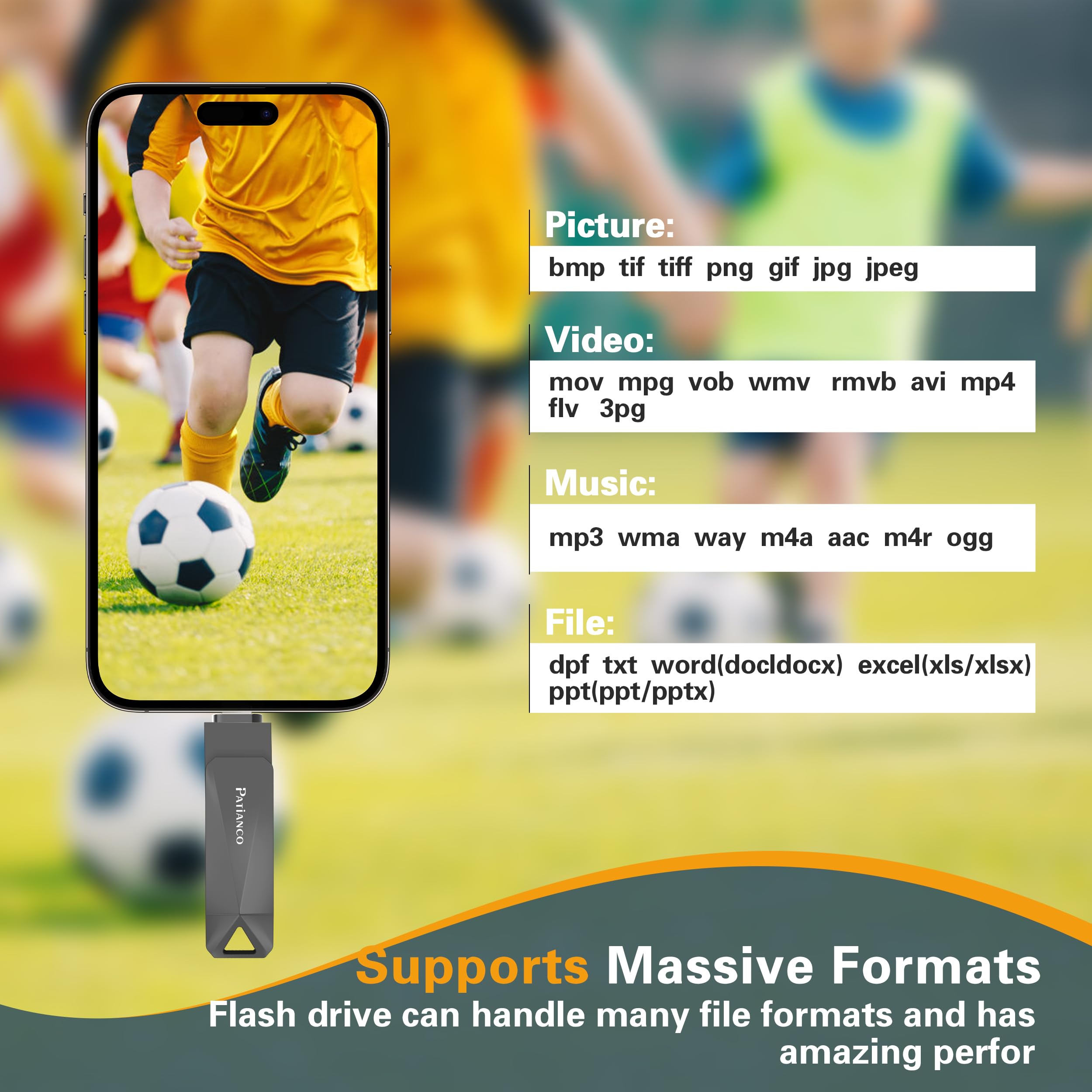 Patianco Chiavetta USB per iPhone 256GB [MFi Certified] USB 3.0 Pendrive per Lightning Chiave USB C Memoria Stick 3 in 1 Backup Rapido con un Clic per OTG Android/Mac/PC/Type C-iPhone/iPad(256GB,Nero)