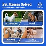 Couches de chien mâle avec indicateur de mouillé, bande de ventre jetable pour les couches de mâle chiot, enveloppes de chien pour l'entraînement de chiot, Incontinence, S, 26 Nombre
