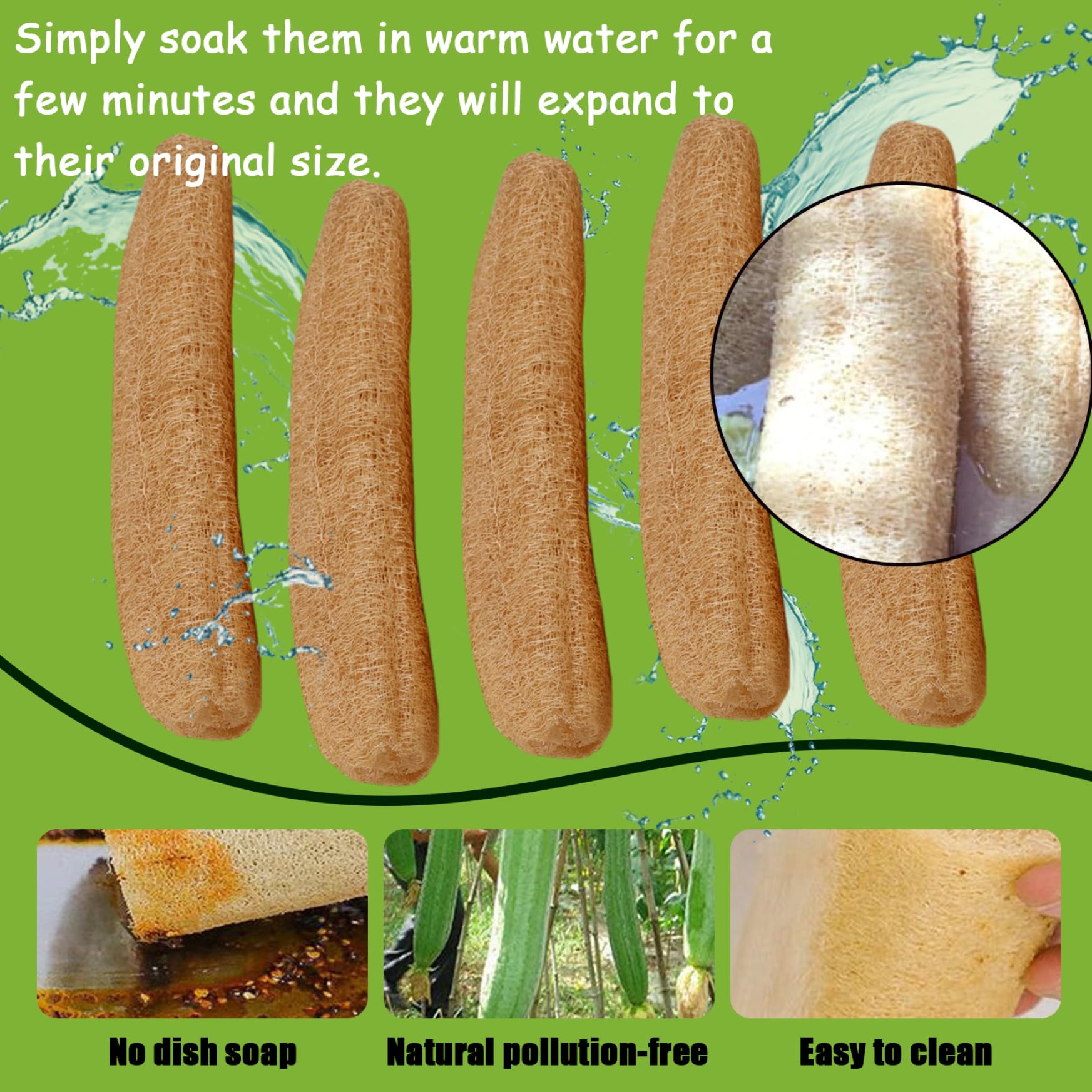 Luffa da doccia da 5 pezzi 12-16 pollici, spugna di luffa naturale biodegradabile esfoliante per il corpo per uomini e donne