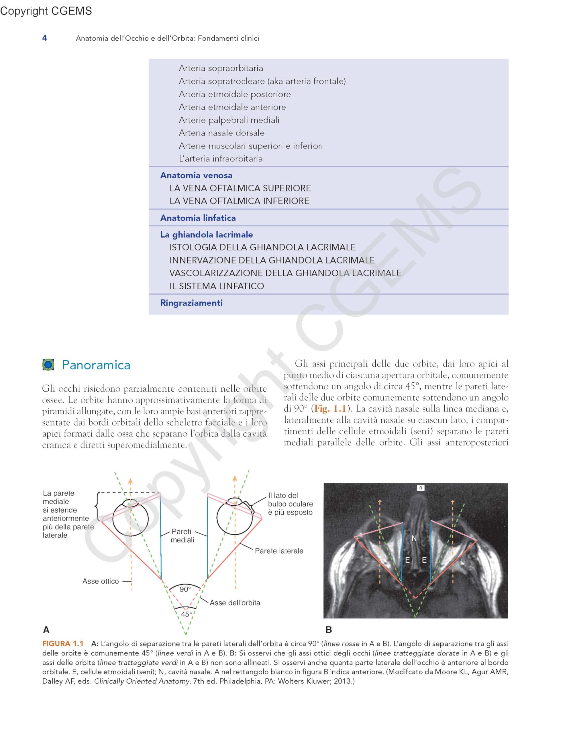 Anatomia dell'occhio e dell'orbita. Fondamenti clinici