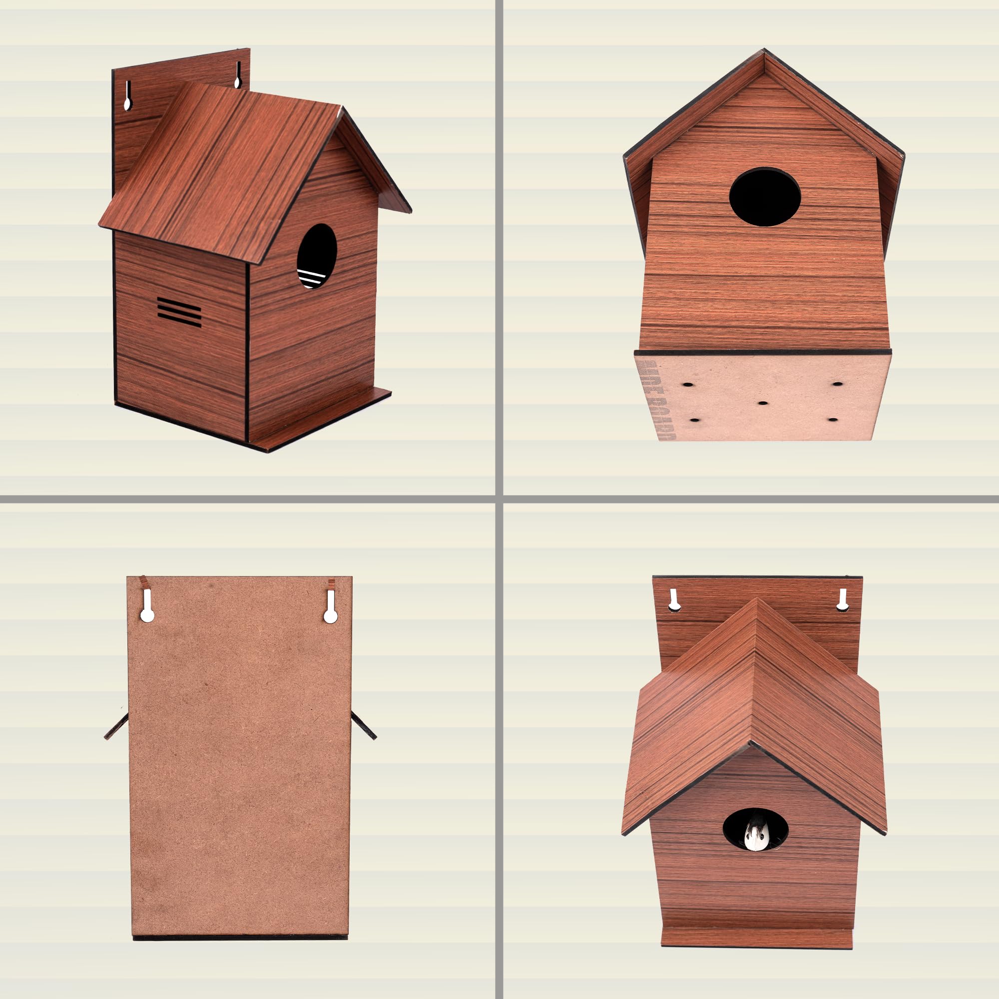 Sparrow Daughter MDF Bird House with Wood Finish, Air Ventilation & Hook – Ideal for Sparrows, Lovebirds, and Outdoor Use 2