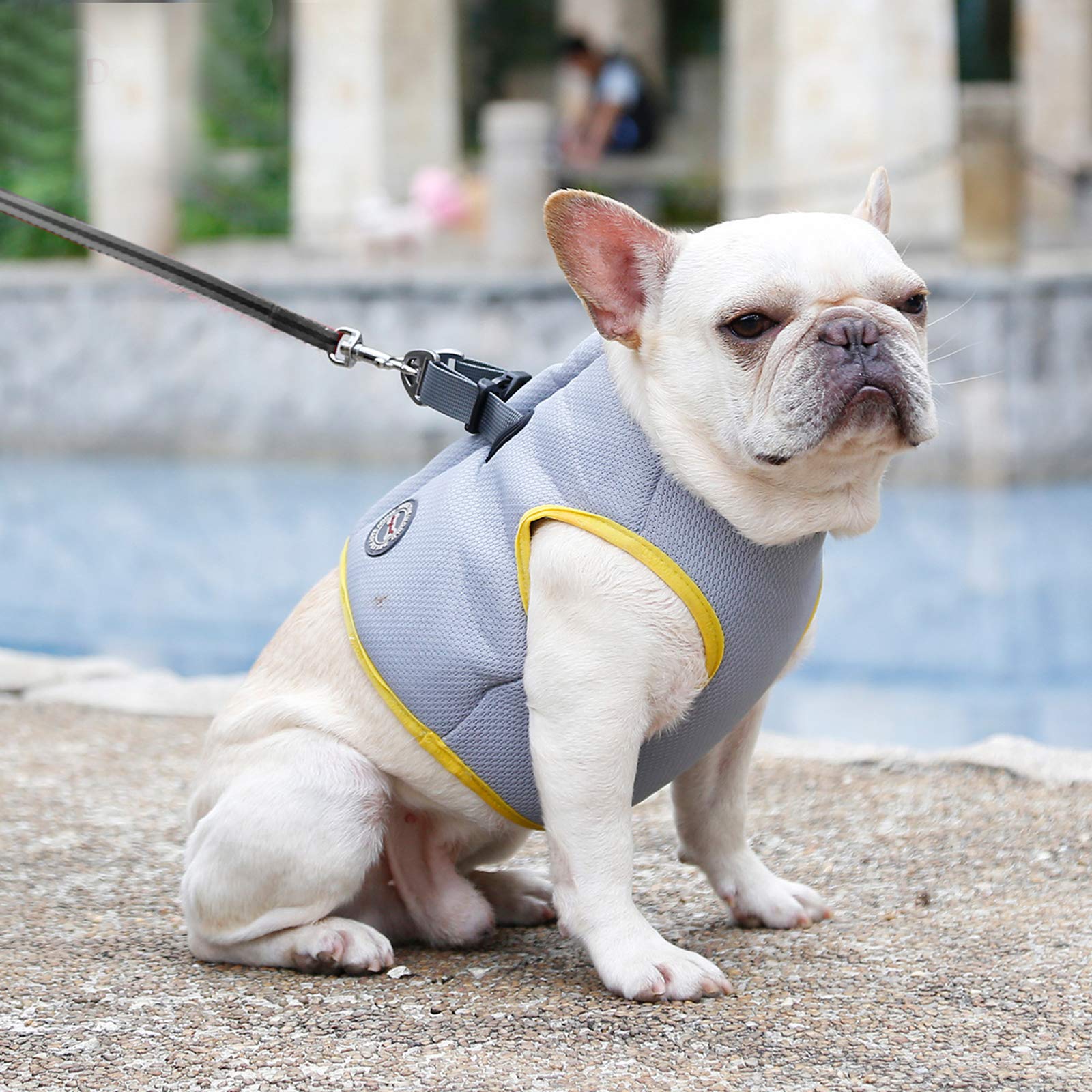 Hund Kühlgeschirr Sommer Mesh Verstellbar Hund Kühlweste Jacke Outdoor Sonnenfest Haustier Mäntel für Kleine Mittlere Große Hunde (M)