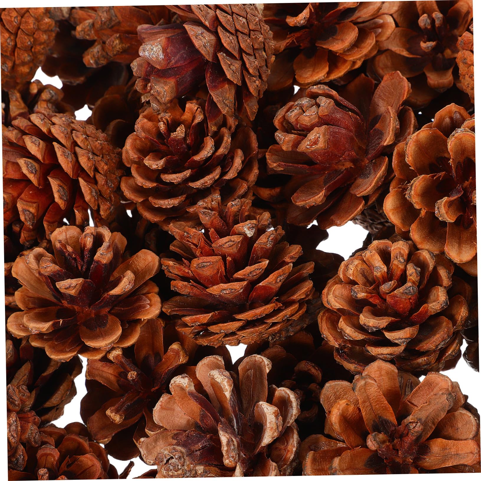 Levemolo Mini Piñas Navideñas Naturales De 3-4 Cm 130 Unidades para Manualidades Otoñales y Decoraciones DIY Piñas para Jarrones, Acción De Gracias, Bodas e Invierno