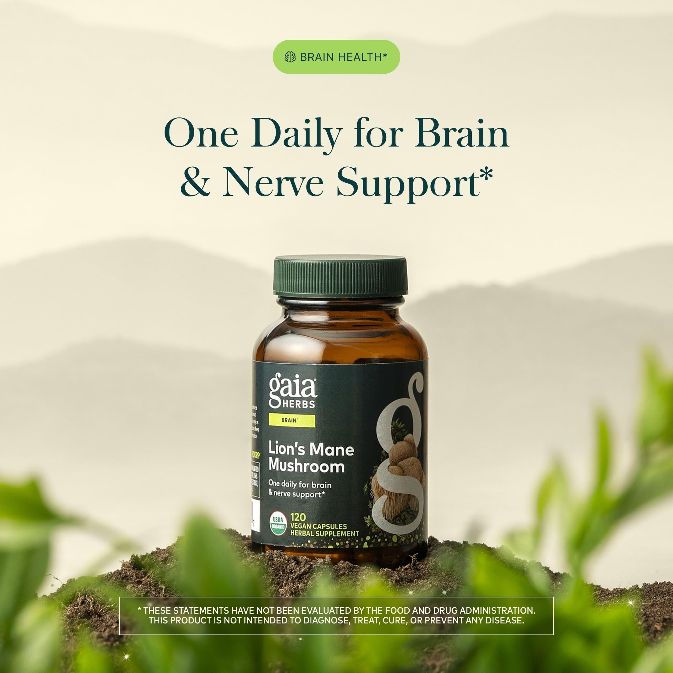 Gaia Herbs Lion's Mane Mushroom, 120 Vegan Capsules, 120 Servings — Amazon image 3