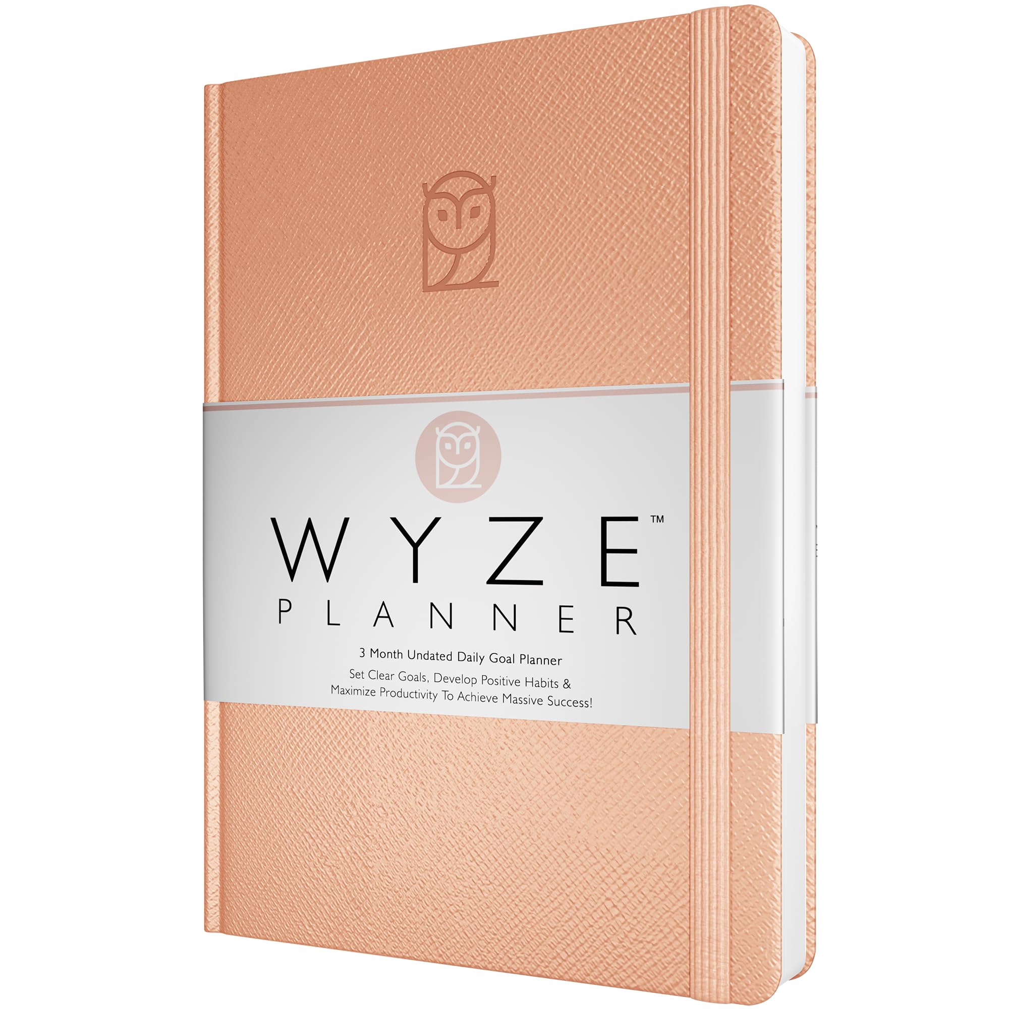 Wyze Planner Agenda giornaliera non datata, organizer per la produttività di 3 mesi, formato A5, con pagina intera al giorno, programma orario, impostazione obiettivi, tracker abitudini, pagine