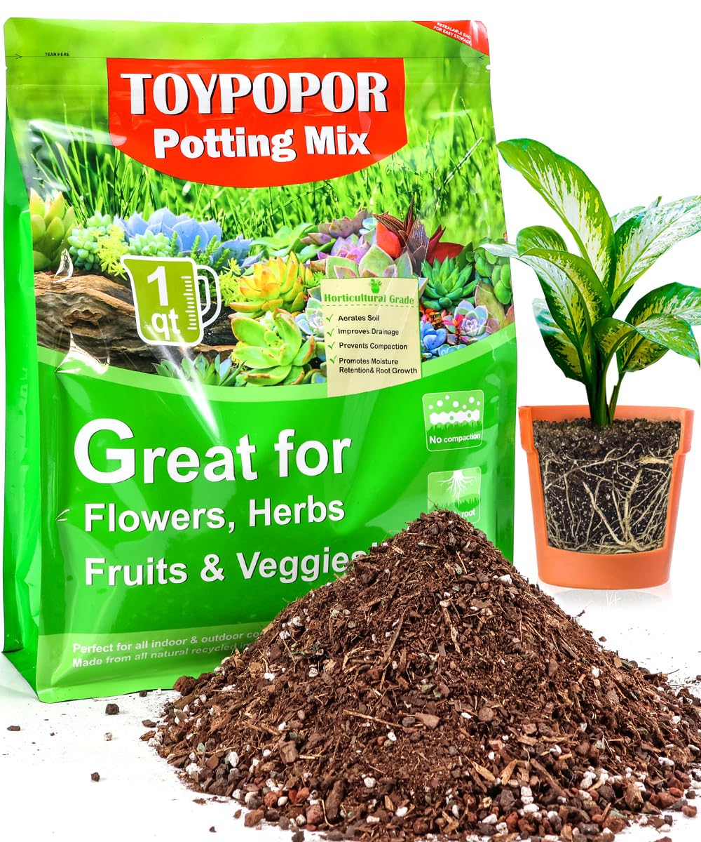 TOYPOPORSucculent Soil, Cactus Potting Mix 1.25 Pounds/1 Quart, High Drainage, Pre-Mixed Ready to Use for All Succulent Varieties, Indoor Plants, Bonsai, Terrarium, Houseplant, 30% Particles 70% Soil