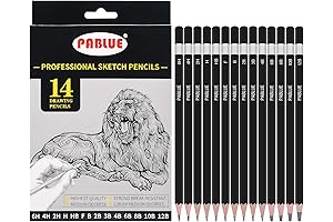 Professional Triangular 2B Graphite Pencils for Shading (14-Piece Set)