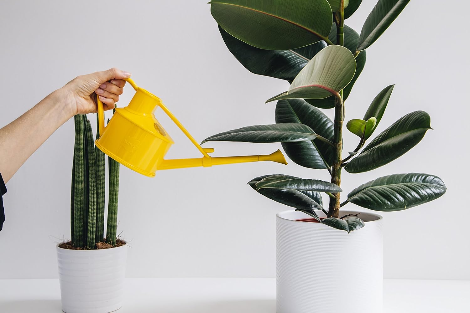 Bosmere Haws Handy Plastic Watering Can, Mini Water Can for Indoor Plants, Succulents and Flowers, Yellow, 1 Pint