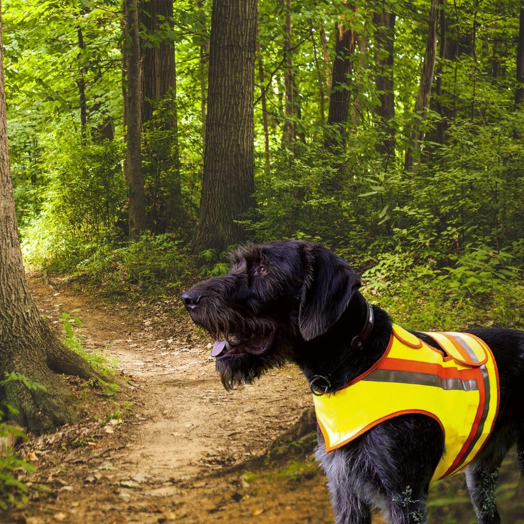 Gilet de sécurité réfléchissant pour chien pour la chasse à la force, la chasse à la levée, la circulation routière et les promenades dans l'obscurité en jaune orange avec bandes réfléchissantes (XL)